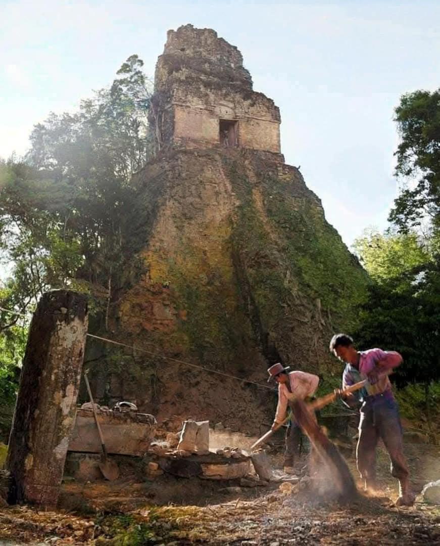 San Benito Casa Victoria 아파트 외부 사진